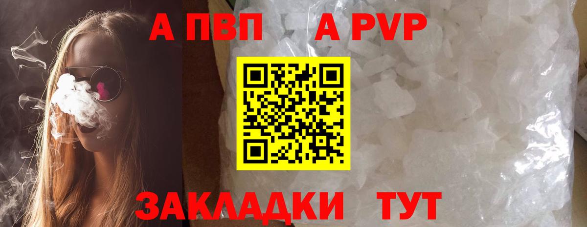 Альфа ПВП СК Грозный