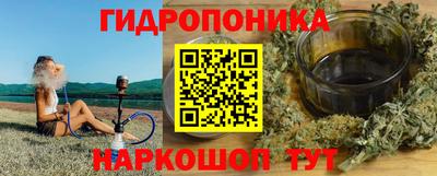 индика Берёзовский