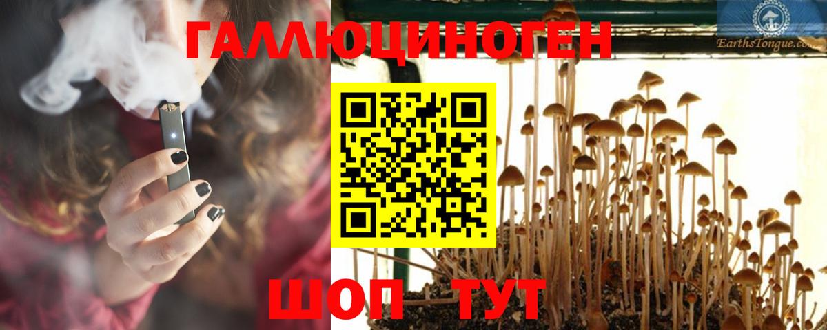 Псилоцибиновые грибы GOLDEN TEACHER Грозный