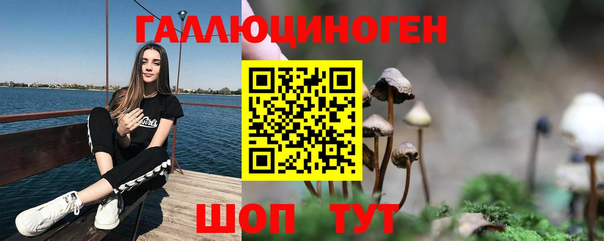 Грозный  Галлюциногенные грибы MAGIC MUSHROOMS  Вход с VPN  наркота  Псилоцибиновые грибы прущие грибы 