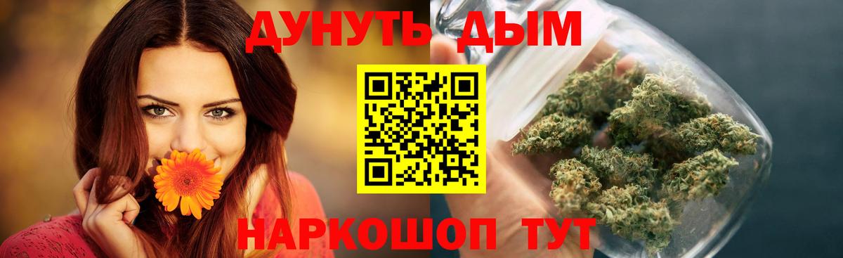 Конопля OG Kush Грозный